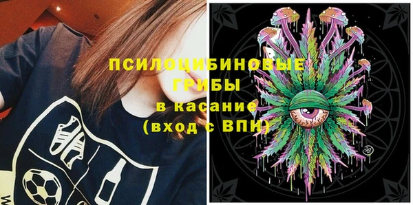 мяу мяу мука Белокуриха