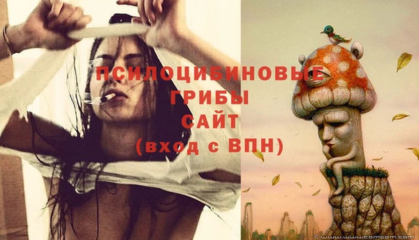 мяу мяу мука Белокуриха
