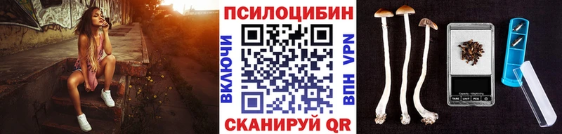 где найти   Короча  Галлюциногенные грибы Magic Shrooms 