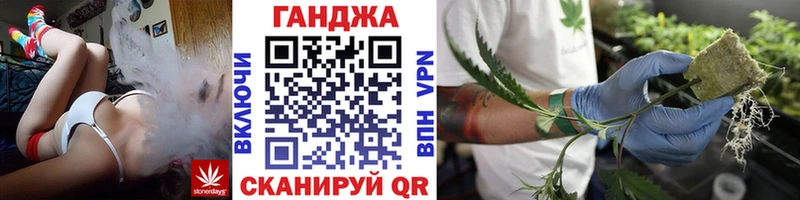 где можно купить   Короча  Канабис OG Kush 